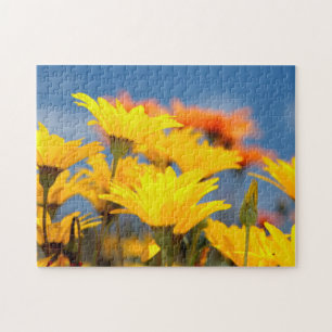 Orangen- und gelbe Namaqualand-Milcherzeugnisse Puzzle