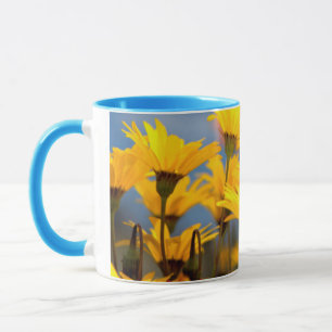 Orangen- und gelbe Namaqualand-Milcherzeugnisse Tasse