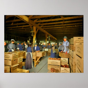 Orangen-Verpackungshaus Wahrscheinlich Covina Kali Poster