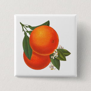 Orangen Vintage-Kiste Kunst Button