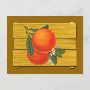 Orangen Vintage-Kiste Kunst Postkarte