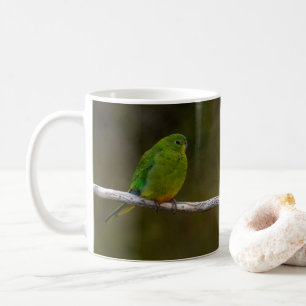 Orangenbauchling Parrot Bird Australia Kaffeetasse