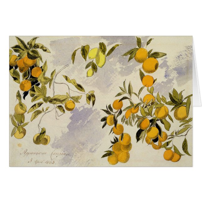 Orangenbäume, 1863 (w/c, Federübergraphit (Vorderseite (Horizontal))