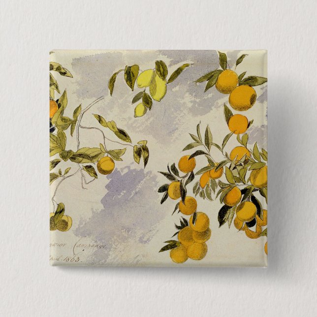 Orangenbäume, 1863 (w/c, Federübergraphit Button (Vorderseite)