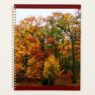 Orangenbäume im Herbst Planer