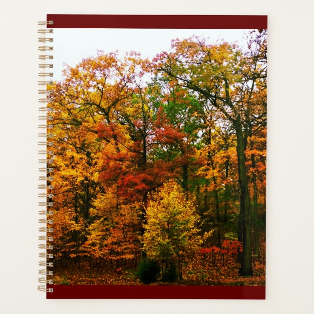 Orangenbäume im Herbst Planer (Vorderseite)