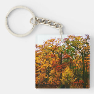 Orangenbäume im Herbst Schlüsselanhänger