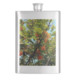 Orangenbeeren Flachmann