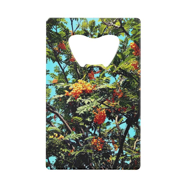 Orangenbeeren Geldbeutel Flaschenöffner (Vorderseite)