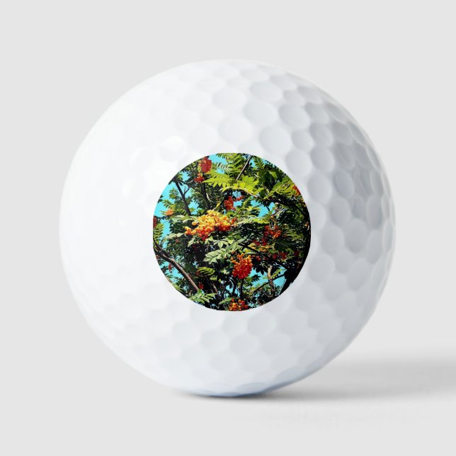 Orangenbeeren Golfball (Vorderseite)