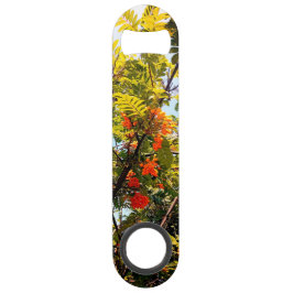 Orangenbeeren Speed Flaschenöffner