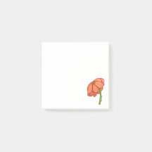 Orangenblüte