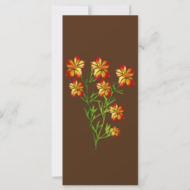Orangenblüten (Vorderseite)