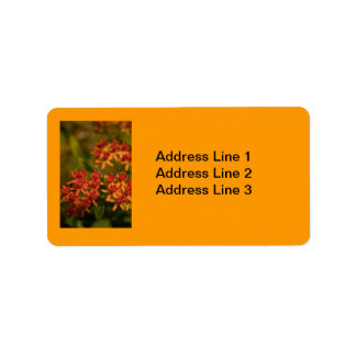 Orangenblüten im Smoky Mountains Label Adressaufkleber