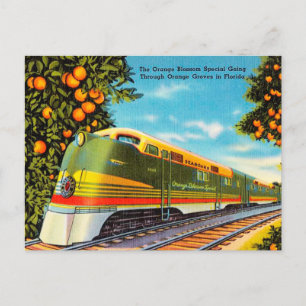 Orangenblüten-Spezial-Orangenhain in Florida Postkarte