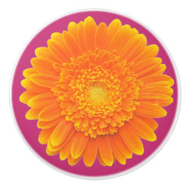 Orangendaisy Türknopf Keramikknauf