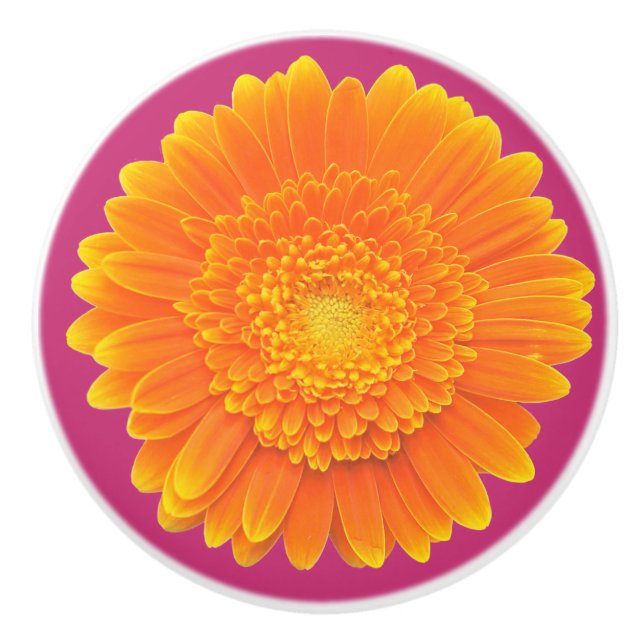 Orangendaisy Türknopf Keramikknauf (Vorderseite)