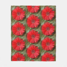Orangene Daisy Botanische Blumendecke