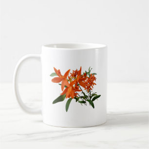 Orangene Epidendrum-Orchidee Kaffeetasse