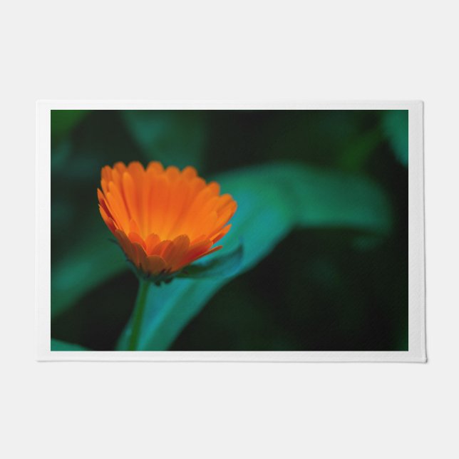Orangene Gänseblümchen-Blumenfotografie Fußmatte (Vorderseite)