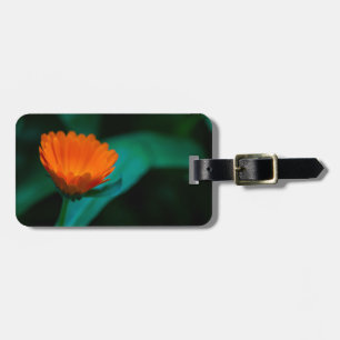Orangene Gänseblümchen-Blumenfotografie Gepäckanhänger