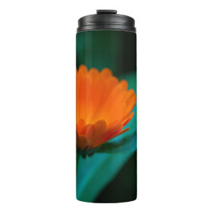 Orangene Gänseblümchen-Blumenfotografie Thermosbecher