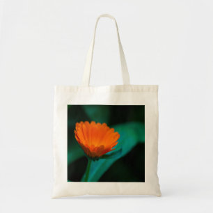 Orangene Gänseblümchen-Blumenfotografie Tragetasche