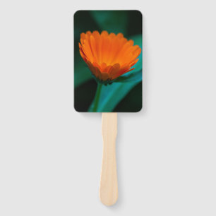 Orangene Gänseblümchenblüte Fächer