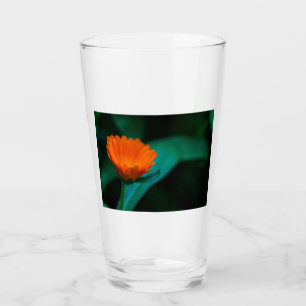 Orangene Gänseblümchenblüte Glas