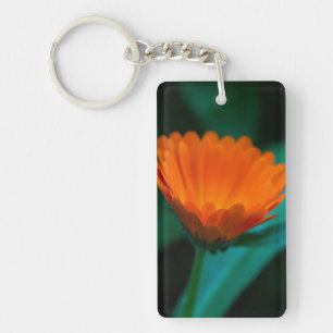 Orangene Gänseblümchenblüte Schlüsselanhänger