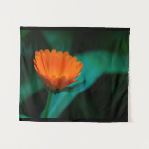 Orangene Gänseblümchenblüte Wandteppich