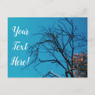 Orangene Gelbe Blätter Baum Blauer Himmel Postkart Postkarte