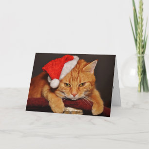 Orangene getigerte Katze mit Weihnachtsmannmütze Feiertagskarte