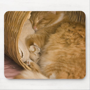 Orangene getigerte Katze schläft in einem Wäscheko Mousepad
