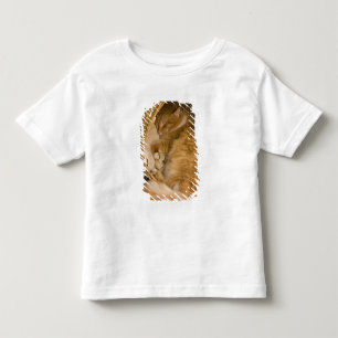 Orangene getigerte Katze schläft in Wäschekorb Kleinkind T-shirt