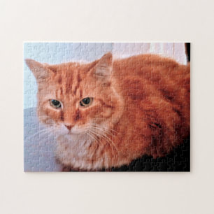 Orangene getigerte Katzenfoto Familienhaustier Puzzle