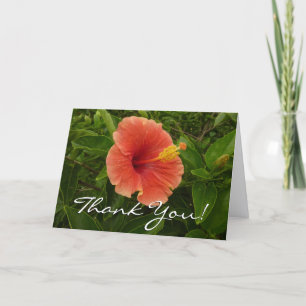 Orangene Hibiskusblüte Tropische Blüten Dankeskarte