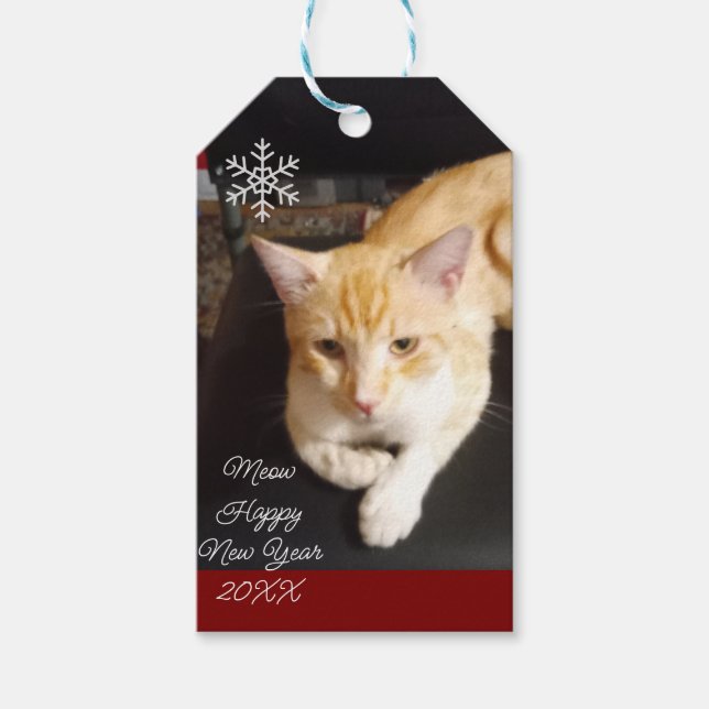 Orangene Katze Foto Text Anpassen Geschenkanhänger (Vorderseite)