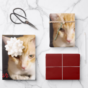 Orangene Katze Foto Text Anpassen Geschenkpapier Set