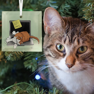 Orangene Katze Lustiger Laptop Grüne Arbeit Zuhaus Ornament Aus Glas