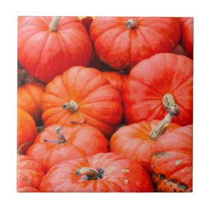 Orangene Kürbisse auf dem Markt, Deutschland Fliese
