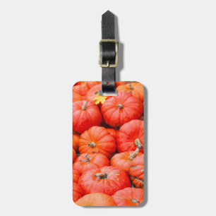 Orangene Kürbisse auf dem Markt, Deutschland Gepäckanhänger