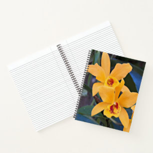 Orangene Orchideenblüten Floral Notizbuch