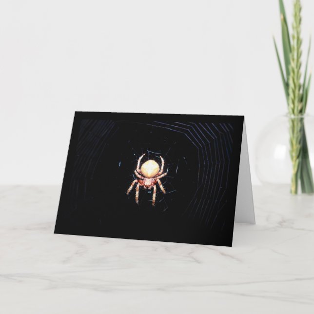 Orangene Radnetzspinne Karte (Vorderseite)