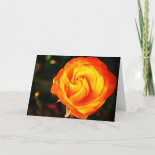 Orangene Rose Feiertagskarte