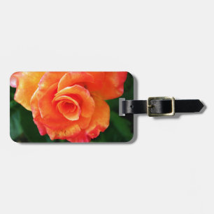 Orangene Rose Gepäckanhänger