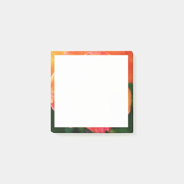 Orangene Rose  Post-it Klebezettel (Vorderseite)