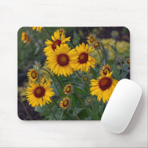 Orangene Sonnenblumen, helle Blumenfotografie Mousepad