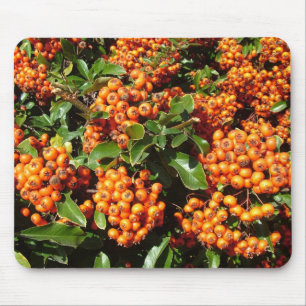 Orangene Stechpalmenbeeren Mousepad