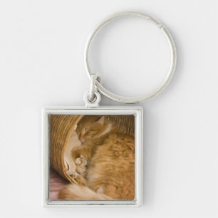Orangene Tabby-Katze schläft in Wäschekorb Schlüsselanhänger